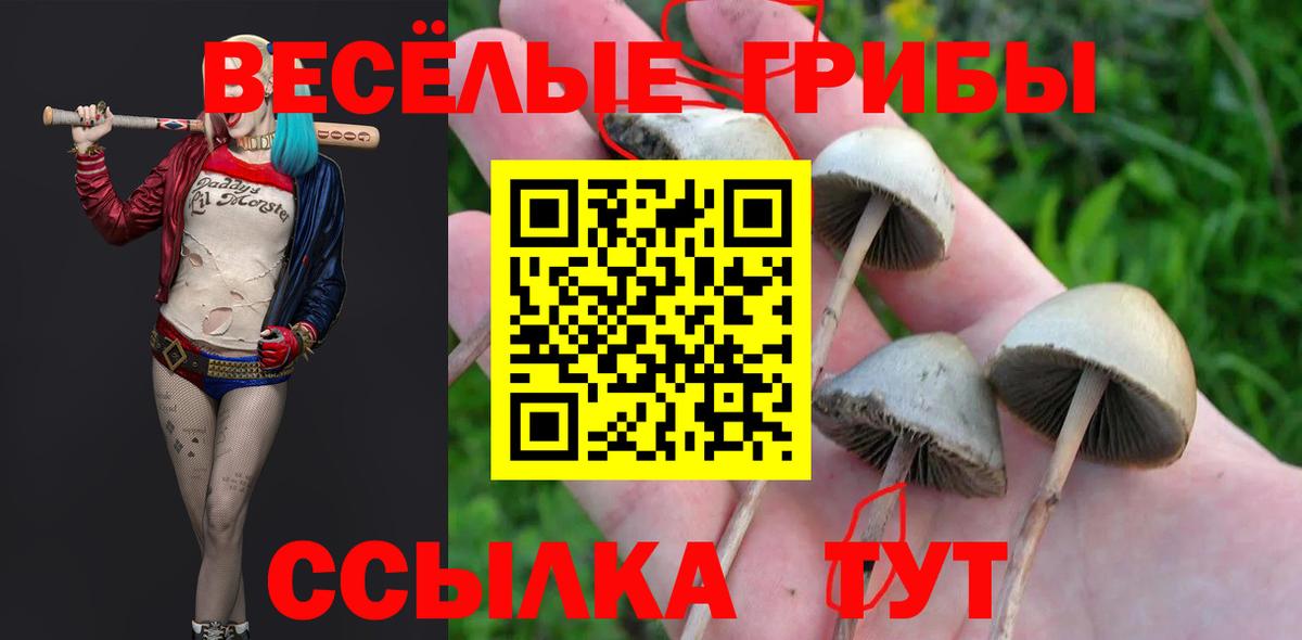 где можно купить   Вход с VPN  Электрогорск  Галлюциногенные грибы ЛСД  Псилоцибиновые грибы прущие грибы 